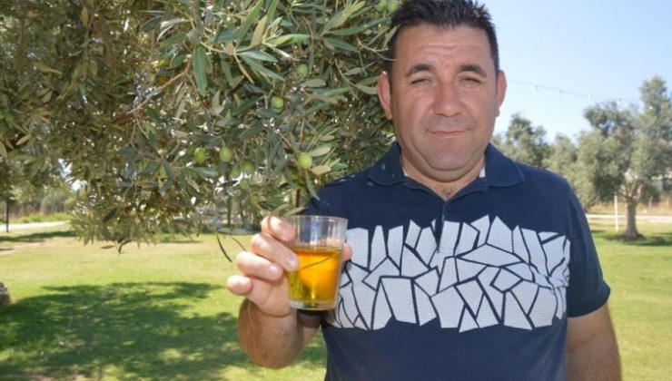 Zeytin Üreticileri Teşvik Priminin Geri Gelmesini İstiyor