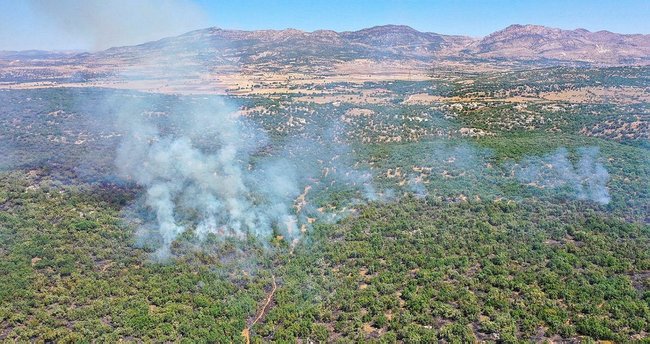 Diyarbakır’da Orman Yangını