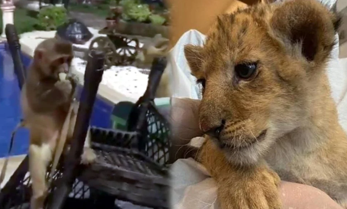 Tekirdağ’da Bir Villaya Operasyon