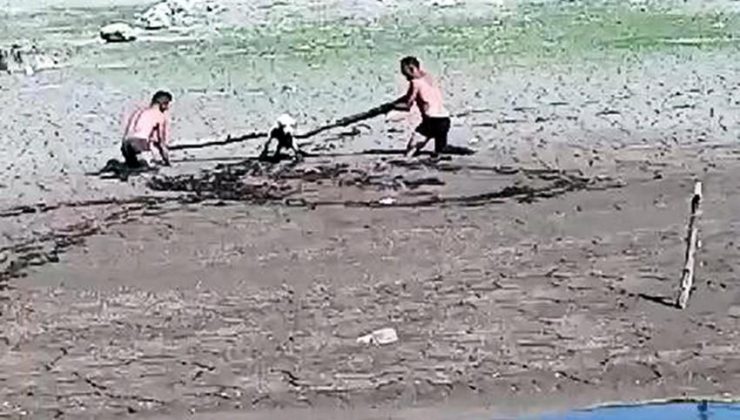 Bataklıkta Mahsur Kalan Köpek Kurtarıldı