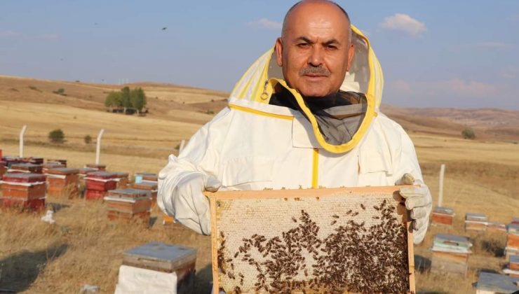 Sivas Bal Üretiminde Birinci Sırada