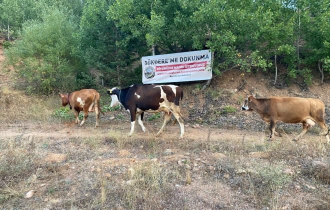 Gökdere Köyü Halkı Maden Projesine Karşı İmza Topluyor