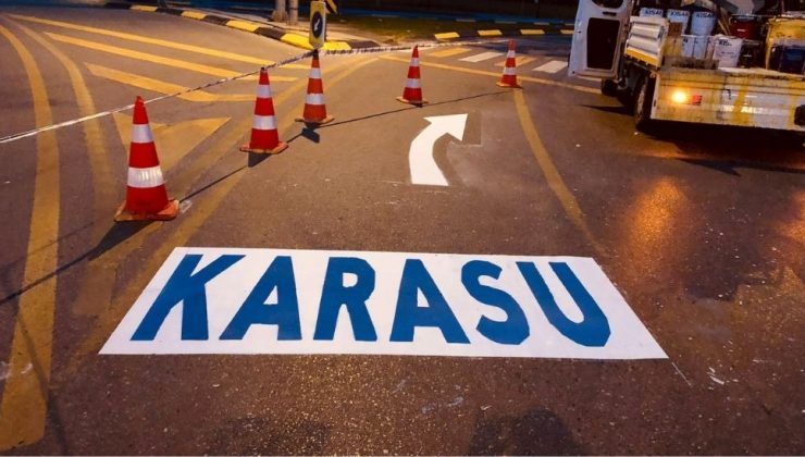 Sakarya Büyükşehir’den Şehrin Önemli Güzergâhlarına Estetik Dokunuş