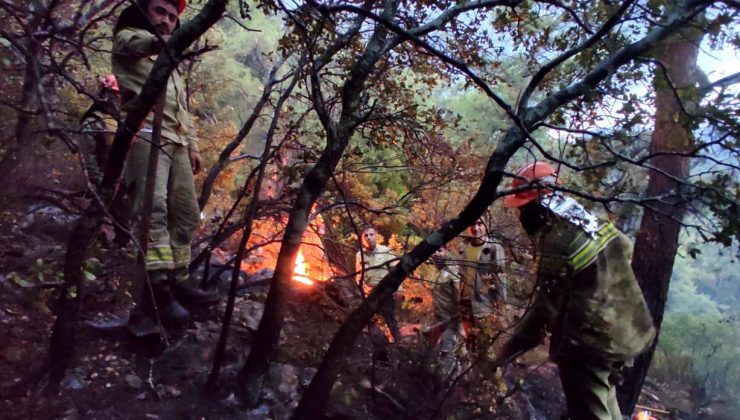 Muğla Orman Bölge Müdürlüğünden Bilgilendirme