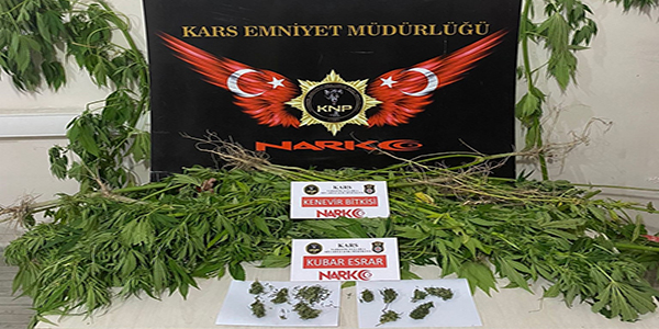 Kars’ta Kenevir Ve Esrar Operasyonu