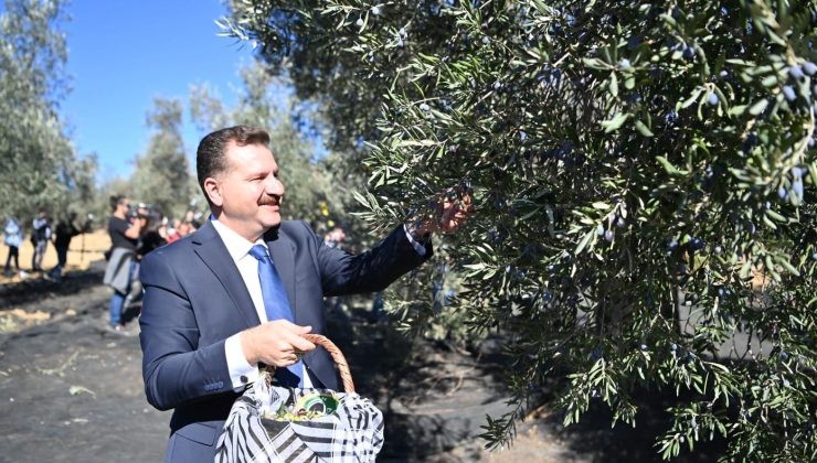 Balıkesir Büyükşehir Belediye Başkan Yılmaz: “Altın sarısı sofralarımızla buluşacak”