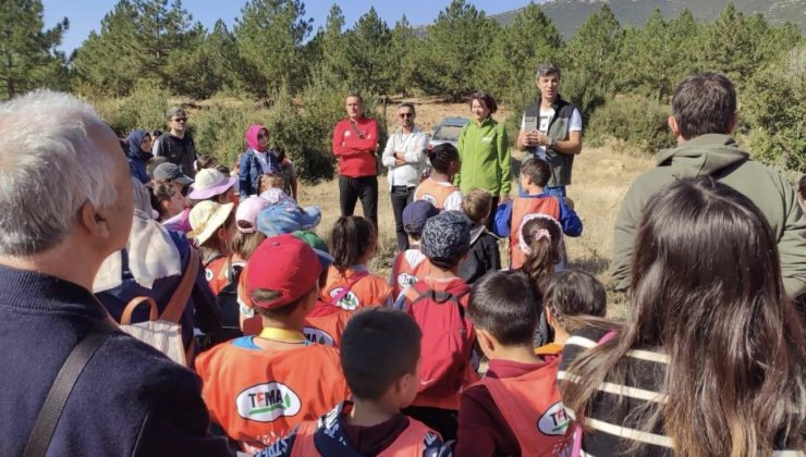 Tohumdan fidana uzanan süreci uygulamalı öğreniyorlar