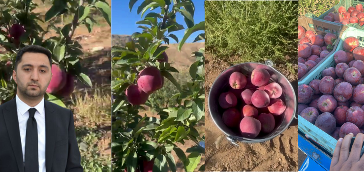 Dalkürek: Ürettiğimizi satma yolunda ilerliyoruz