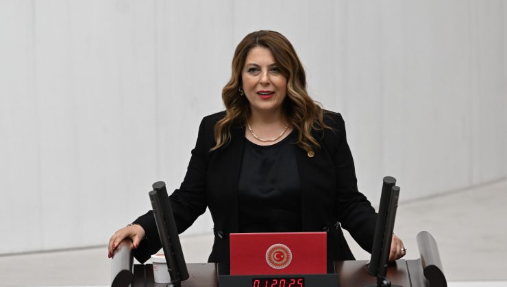 Elvan Işık Gezmiş’ten Dal-Çık Projesi Uyarısı