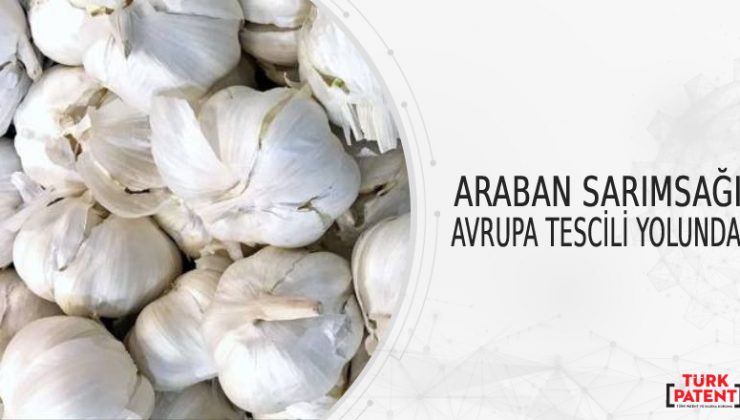 ARABAN SARIMSAĞI AVRUPA TESCİLİ YOLUNDA