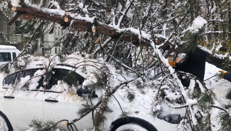 Bolu’da kar yağışı sonrasında bir aracın üzerine ağaç devrildi