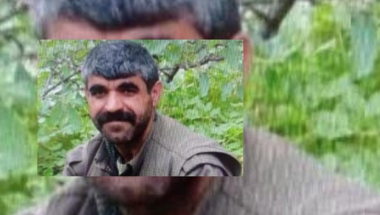 MİT, PKK’nın sözde eyalet sorumlusunu etkisiz hale getirdi