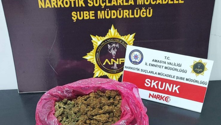 Amasya’da uyuşturucu madde tacirleri yakalandı
