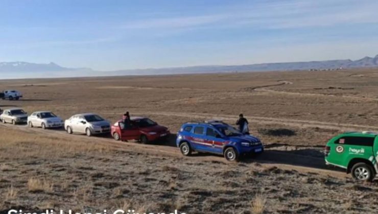 Köpek Dövüşü Engellendi