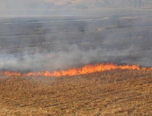 Diyarbakır’da Anız Yakanlara İdari Para Cezası Uygulanacak