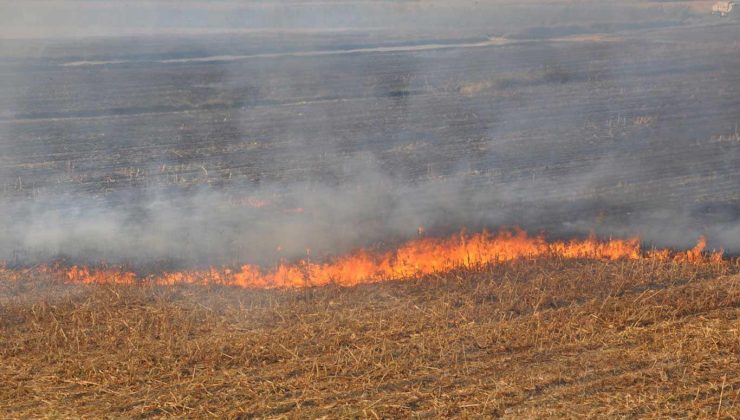 Diyarbakır’da Anız Yakanlara İdari Para Cezası Uygulanacak