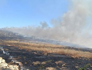 Silvan’da Biçerdöverde Çıkan Yangın Bin Dönüm Ekili Alanı Küle Çevirdi