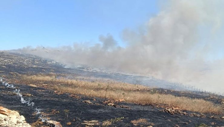 Silvan’da Biçerdöverde Çıkan Yangın Bin Dönüm Ekili Alanı Küle Çevirdi