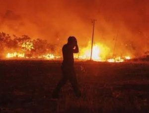 Diyarbakır ve Mardin’deki Yangınlarda 5 Ölü, 44 Yaralı