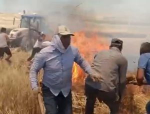 Bismil’de Yangın: 7 Dönüm Ekili Buğday Yandı