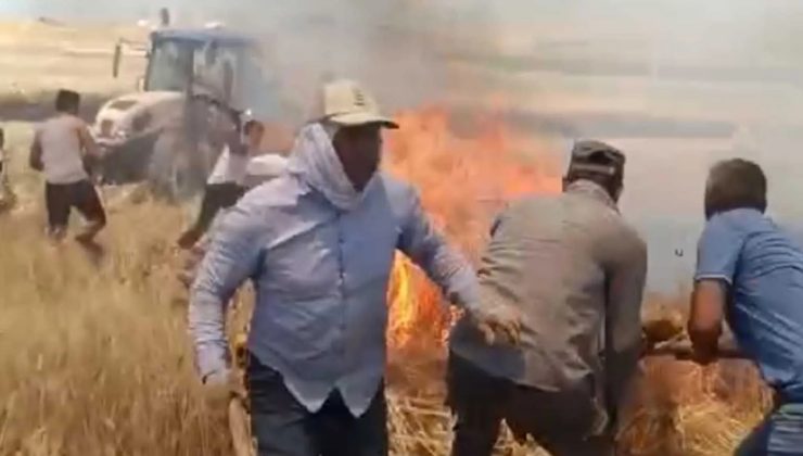 Bismil’de Yangın: 7 Dönüm Ekili Buğday Yandı