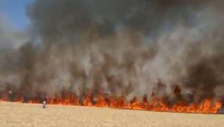 Yıldırım Düşmesi Sonucu 137 Dönüm Buğday Tarlası Yandı