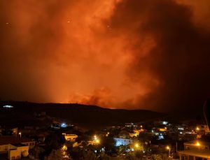 Dicle Elektrik’ten Çıkan Anız Yangınına İlişkin Açıklama