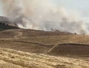 Diyarbakır’da 50 Dönüm Ekili Alan Yandı