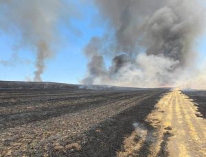 Diyarbakır’da Çıkan Yangında 500 Dönüm Alan Zarar Gördü