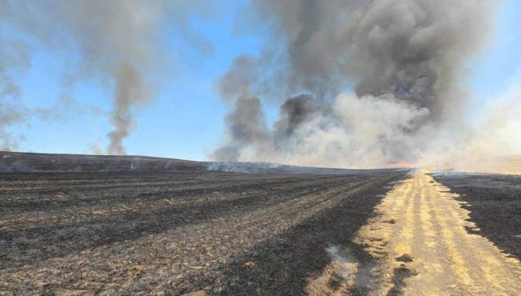 Diyarbakır’da Çıkan Yangında 500 Dönüm Alan Zarar Gördü
