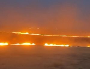 Diyarbakır’da Çıkan Anız Yangını Söndürüldü