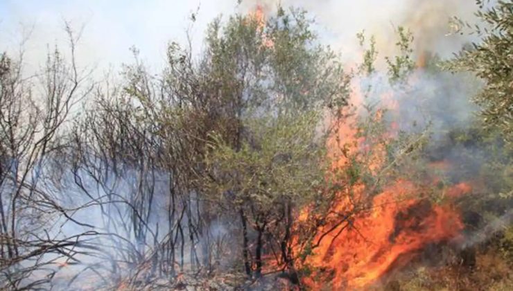 Çüngüş’te Orman ve Örtü Yangını