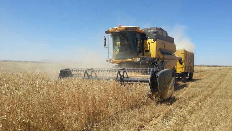 Geliştirilen Buğday Diyarbakır’ı Fetheden Komutanın İsmiyle Tescillendi
