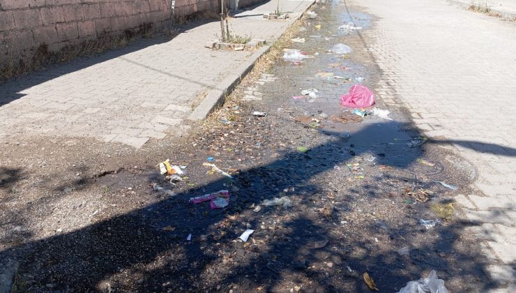 Patlayan Şebeke Borusundan 4 Gündür Su Boşa Akıyor