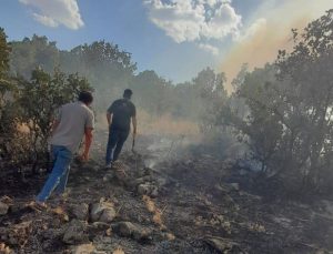 Silvan’da Örtü Yangını Çıktı