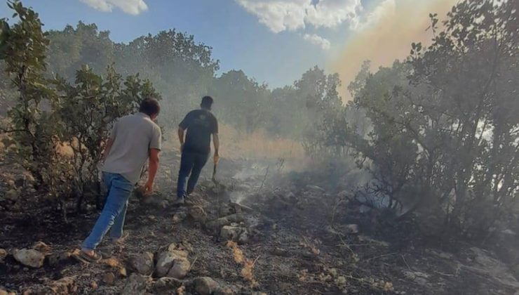 Silvan’da Örtü Yangını Çıktı