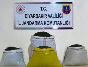 Diyarbakır’da 170 Bin Kök Keneviri 52 Kilogram Esrar Ele Geçirildi