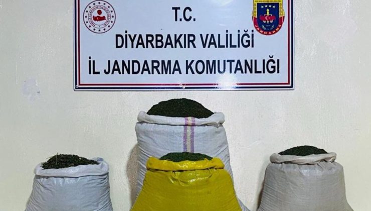 Diyarbakır’da 170 Bin Kök Keneviri 52 Kilogram Esrar Ele Geçirildi