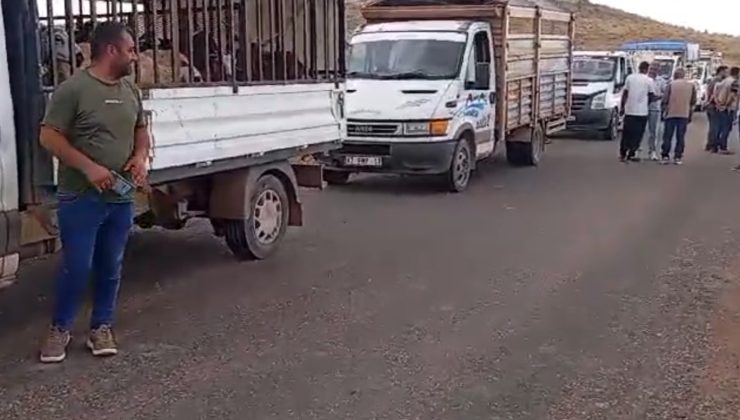 Çınar ve Mazıdağı’ndaki Yangından Etkilenen Ailelere Halktan Küçükbaş Hayvan Yardımı