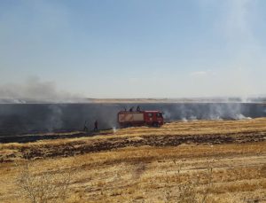 Diyarbakır’daki Yangın Kontrol Altına Alındı