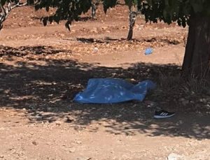 Şanlıurfa’da Bir Öğretmen Saldırı Sonucu Hayatını Kaybetti