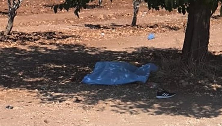 Şanlıurfa’da Bir Öğretmen Saldırı Sonucu Hayatını Kaybetti