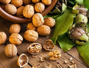 Güçlü Hafızanın Doğal İlacı: Ceviz