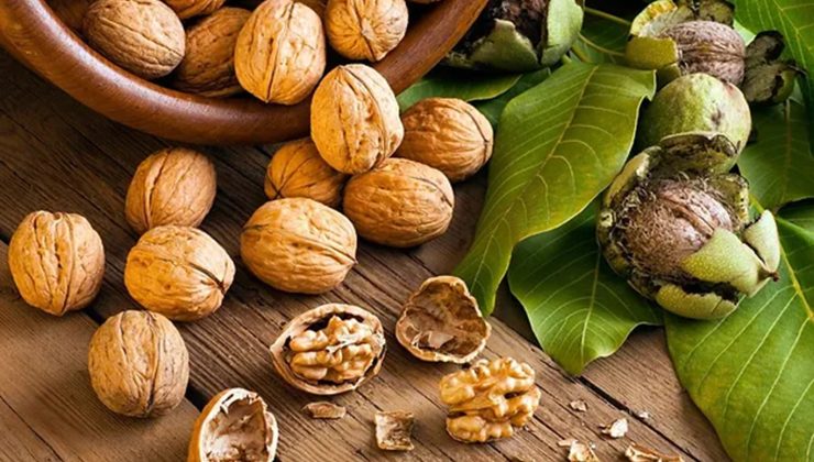 Güçlü Hafızanın Doğal İlacı: Ceviz