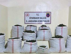 Diyarbakır’da 2 Milyon 715 Bin Kök Keneviri ve Skunk Bitkisi Ele Geçirildi