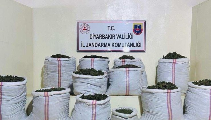 Diyarbakır’da 2 Milyon 715 Bin Kök Keneviri ve Skunk Bitkisi Ele Geçirildi