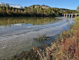 Dicle Nehri Ürkütüyor, Durum Vahim!
