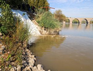 Dicle Nehri’ni Kirleten İşletmelere Ceza!