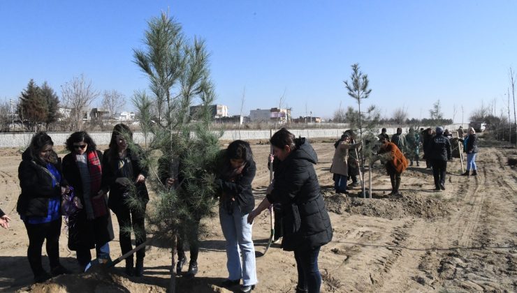 Bismil’de “Kadın Yaşam Parkı” oluşturuldu