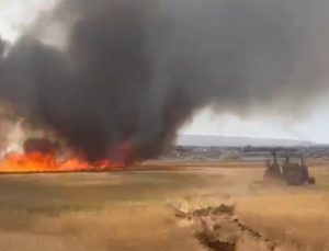 Diyarbakır’da 50 Dönüm Ekili Alan Yandı